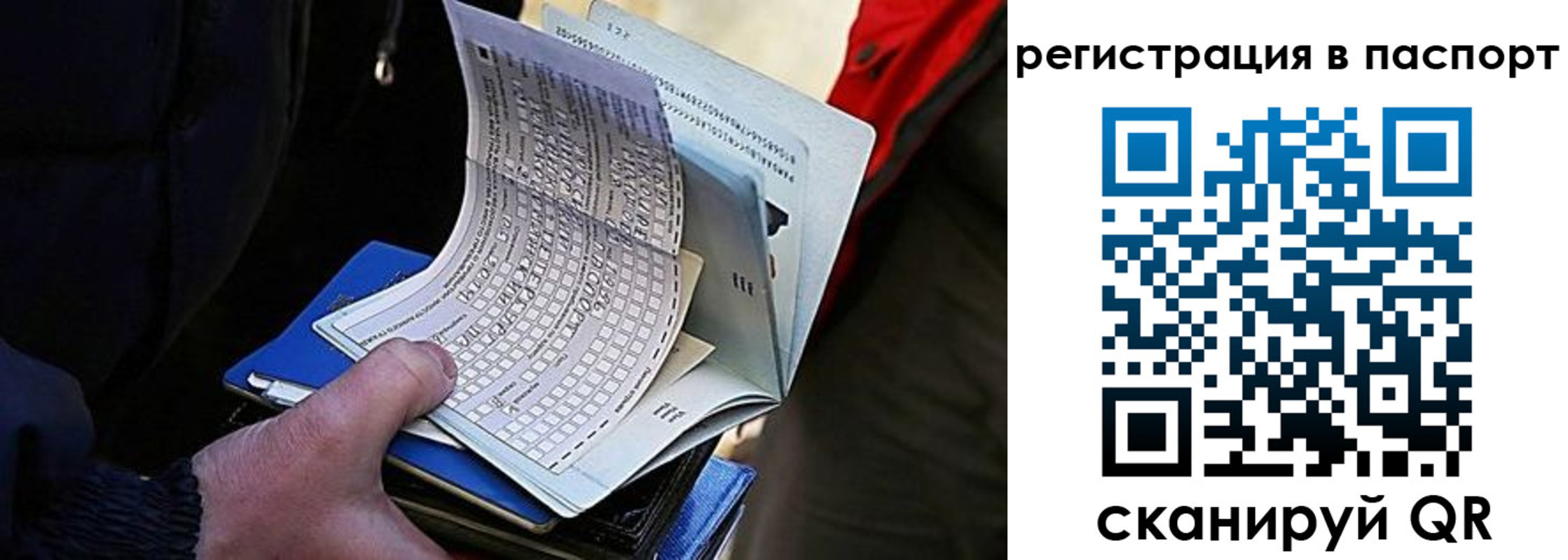 купить прописку в Владимире