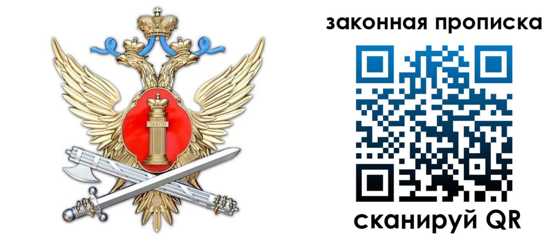 прописка для школы в Владимире