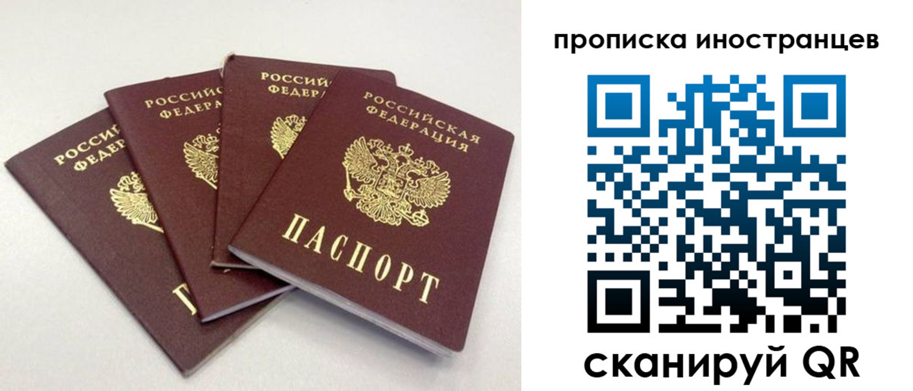 временная регистрация надежно в Владимире